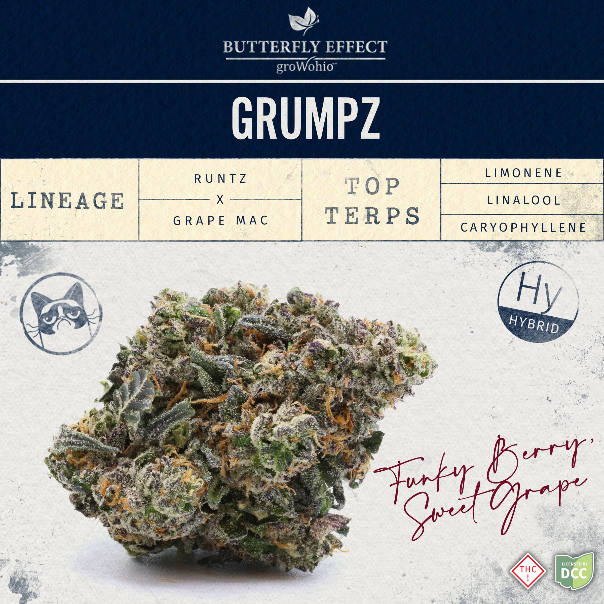 Butterfly Effect by Grow Ohio GRMPZ [2.83]