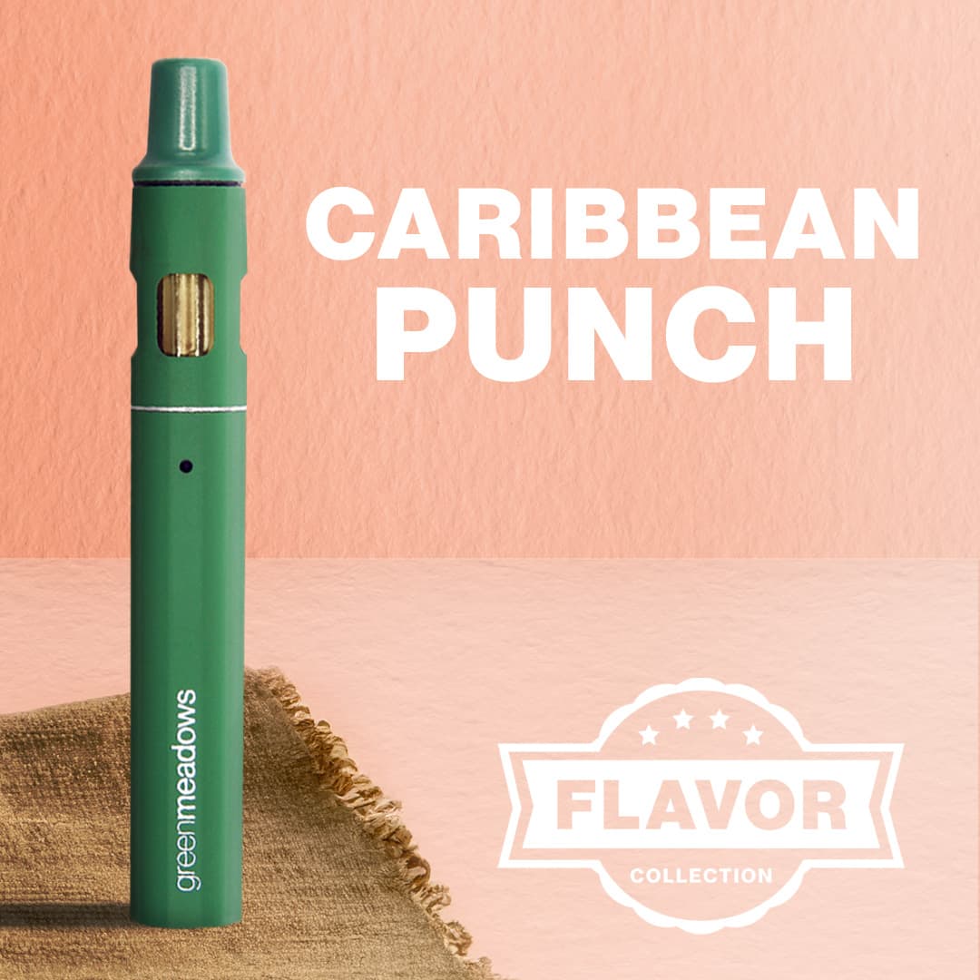 The TANK Caribbean Punch | The Tank (Disposable) | 1g