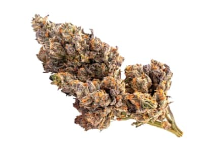 BAGGIES