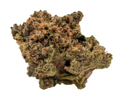 BAGGIES