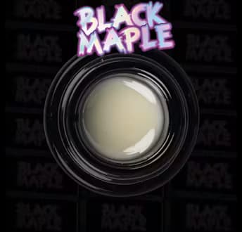 Rkive Rkive | Black Maple Cold Cure