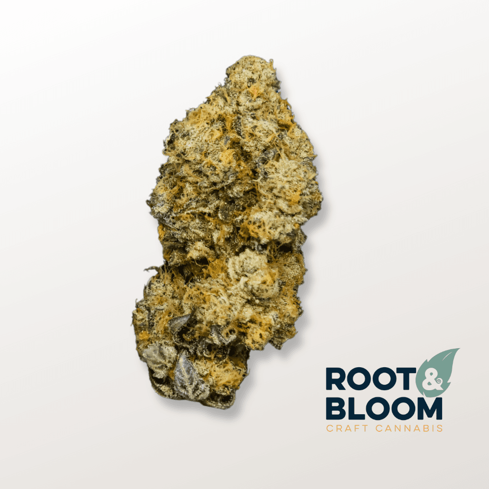 Root & Bloom