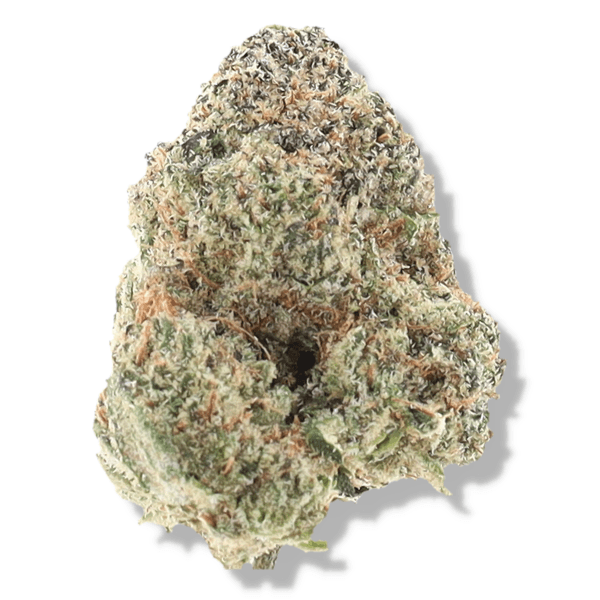 BUDHUB