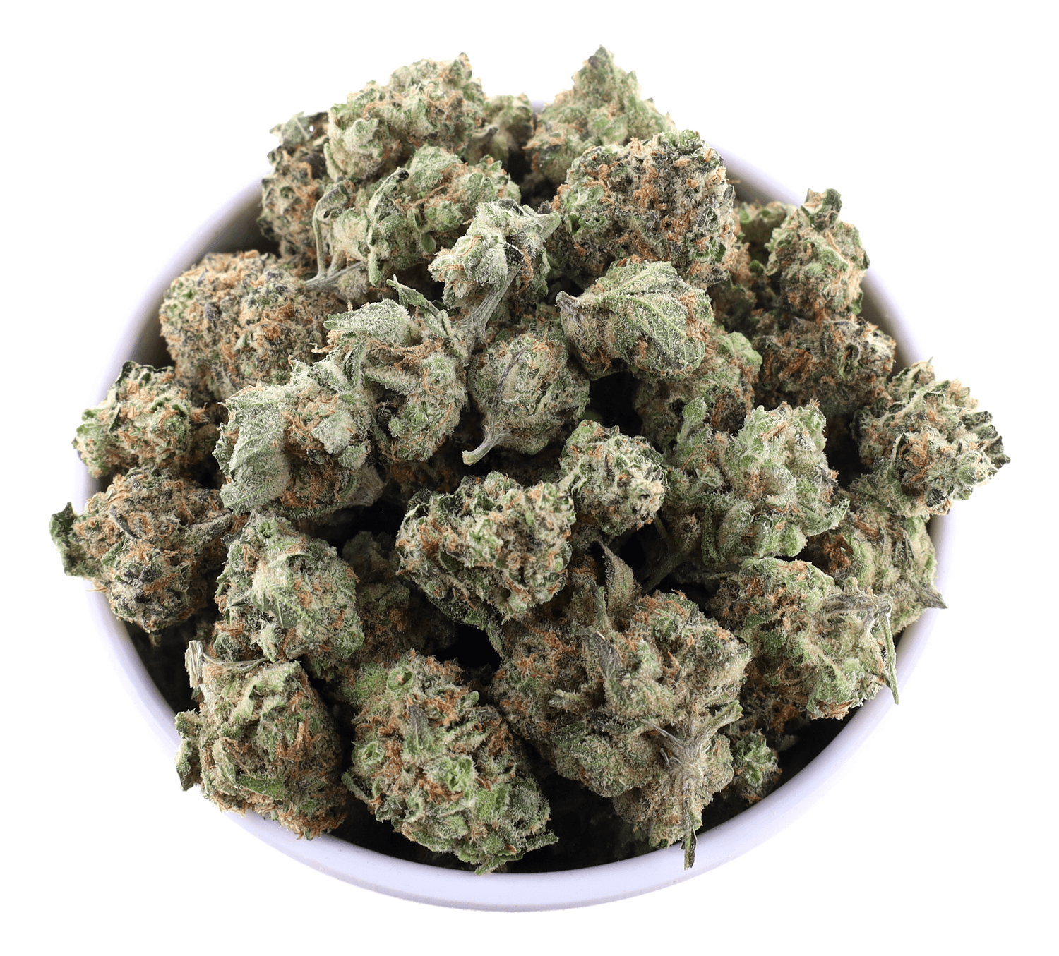 BUDHUB