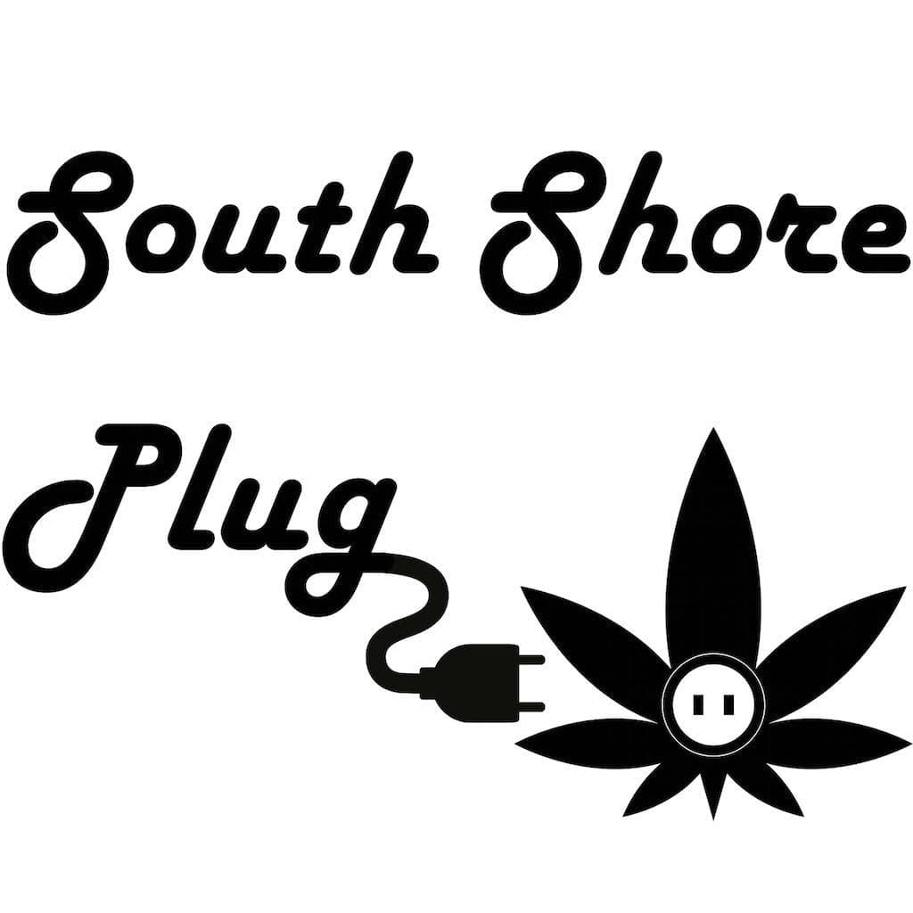 South Shore Plug Indigo