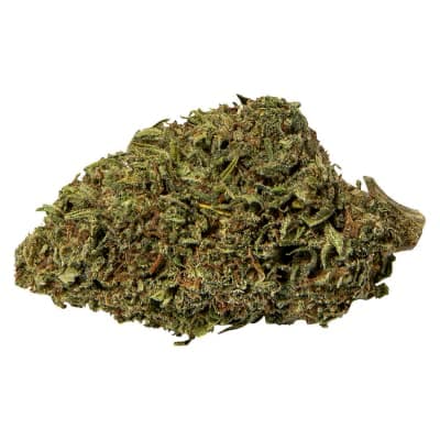 Abide Mango Sapphire Haze - Sativa