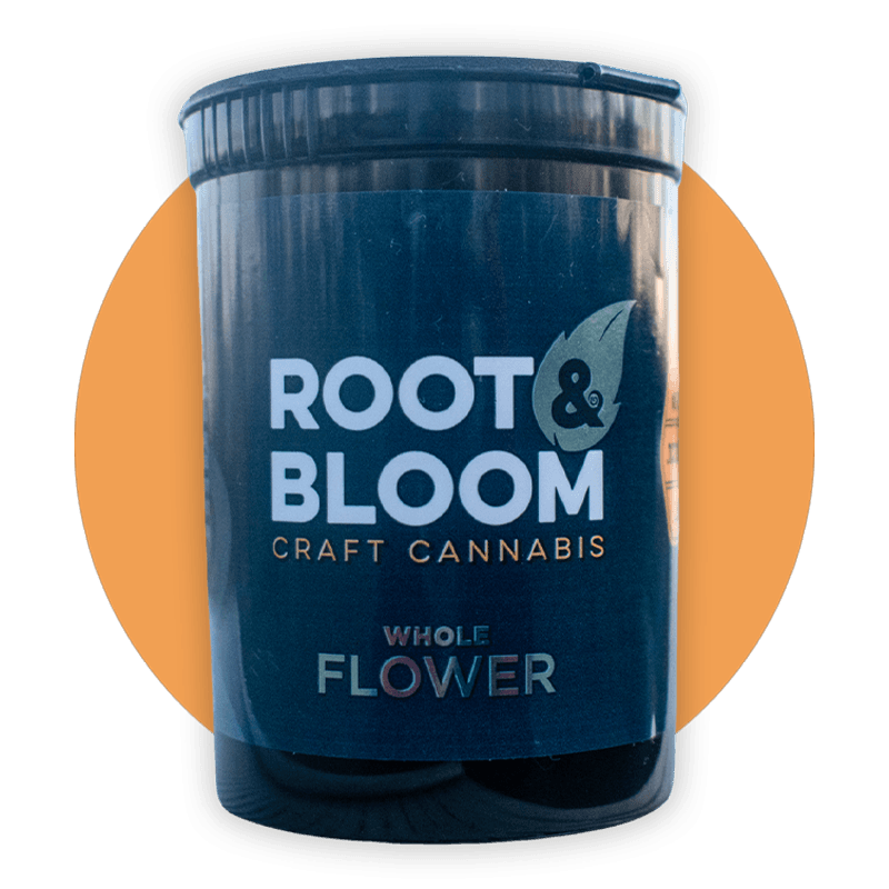 Root & Bloom Gelato Punch
