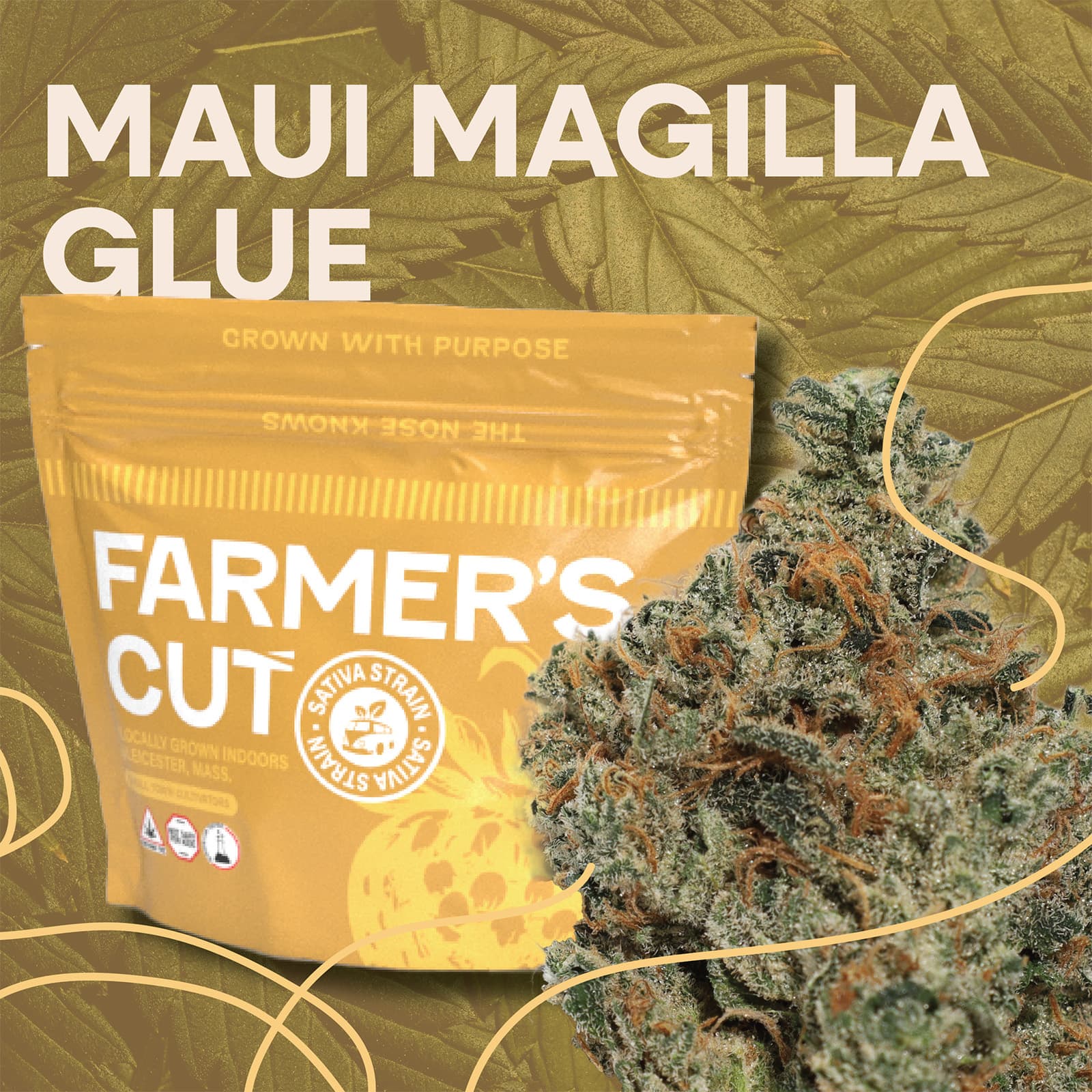 Farmer's Cut Maui Magilla Glue 28.0g
