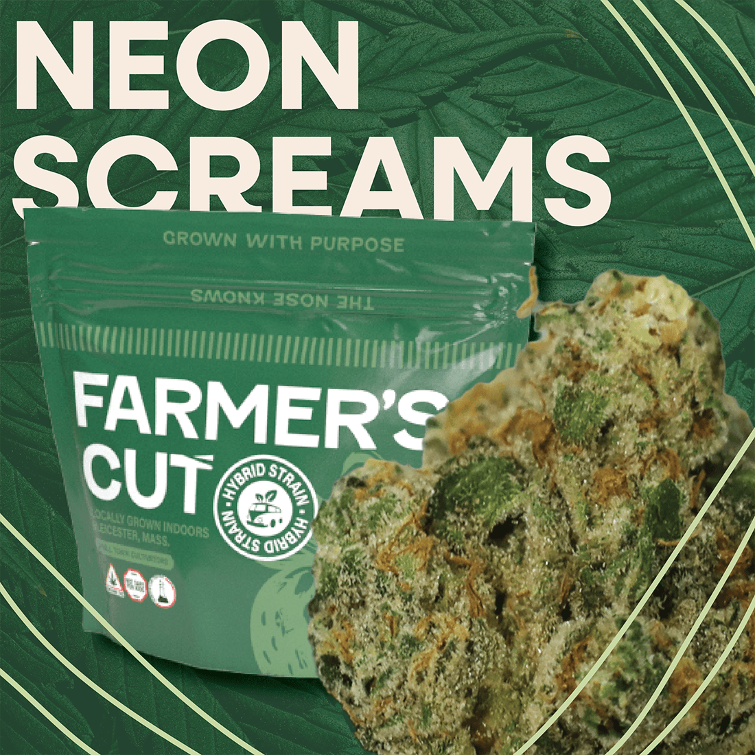 Farmer's Cut Neon Screams | 3.5g