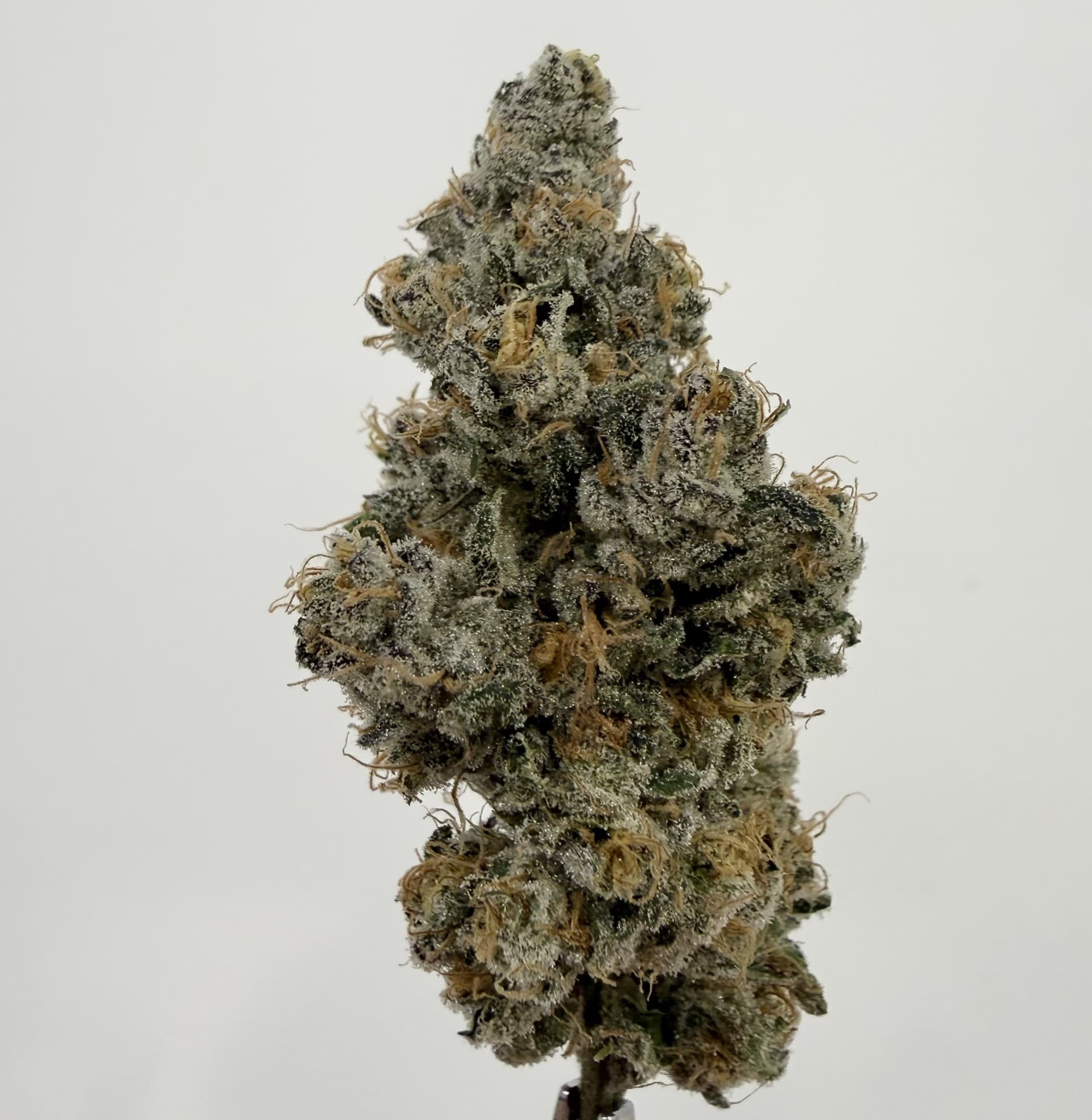 High Creek Candy Blues | Flower | 3.5g