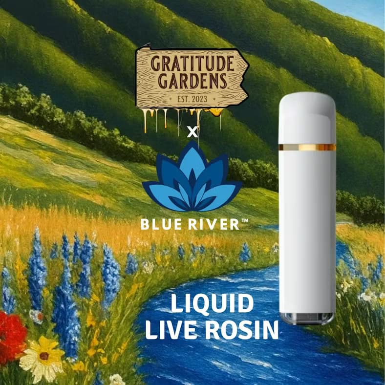 Gratitude Gardens Oishii Belts Live Rosin AIO | 0.5g