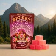 Big Sky Solar BIG SKY Gummies 20pk (100mg) Grapefruit Hibiscus