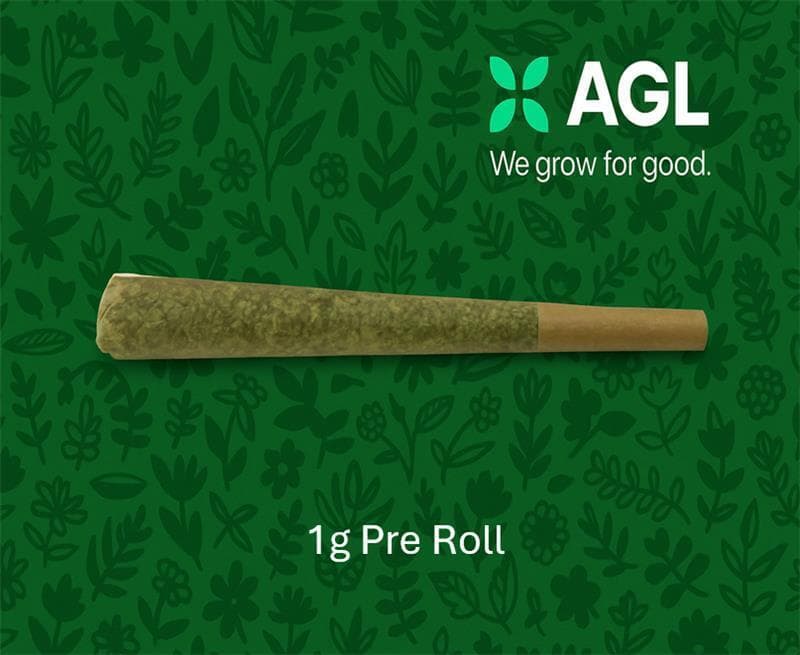 Advanced Grow Labs (AGL) AGL 5 Pack Minis B Scout x Animal Face (I) 01436