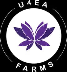 U4EA Farms Flower