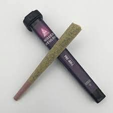Hidden Hemlock High Flyer | 1g Pre Roll