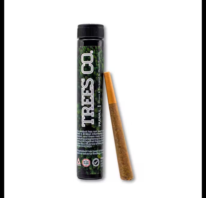 Tree's Company Pre-Roll - Garlic Runtz