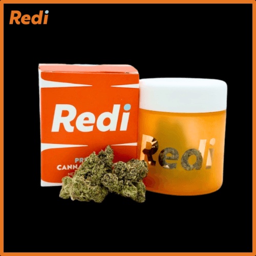 Redi Neon Sunshine