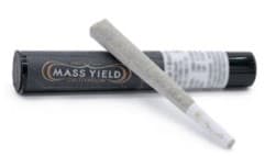 Mass Yield Cultivation SFV OG | 1g Pre-Roll