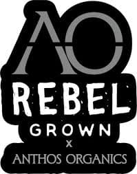 Rebel x Anthos Double OG Chem | Live Resin Budder 1g