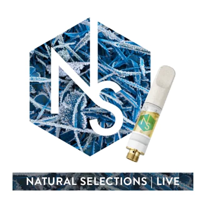 Natural Selection Natural Selection Cured Resin Vape (1000mg) Rainbow Guava