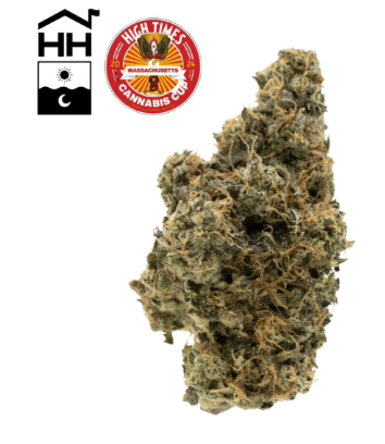 Harbor House Collective