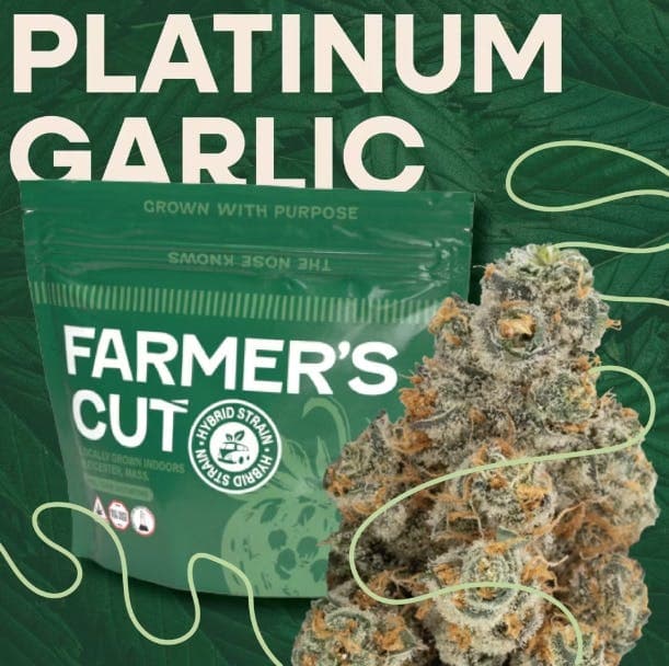 Farmer's Cut Platinum Garlic | Flower | 3.5g