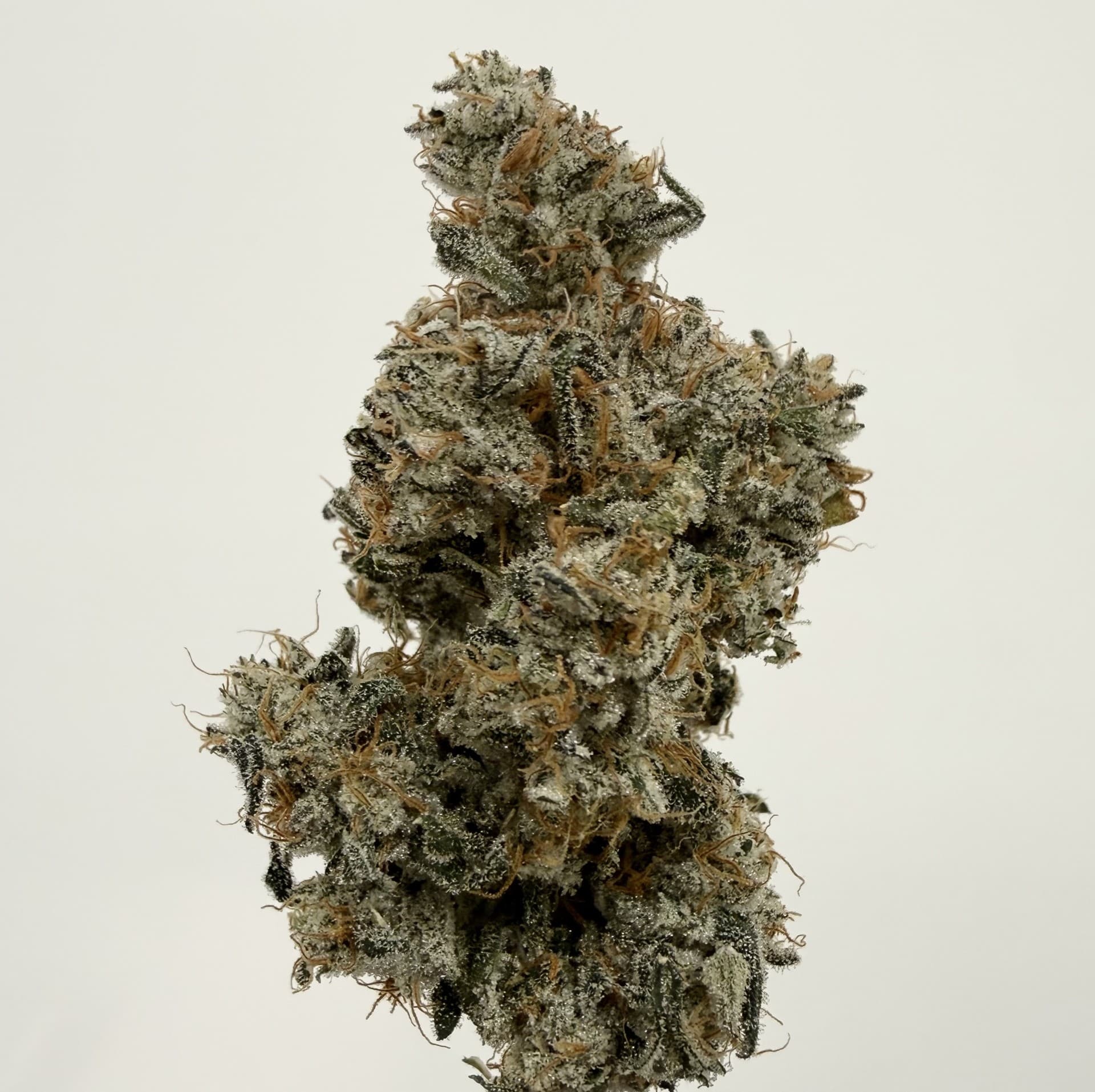 High Creek Red Velvet | Flower | 3.5g
