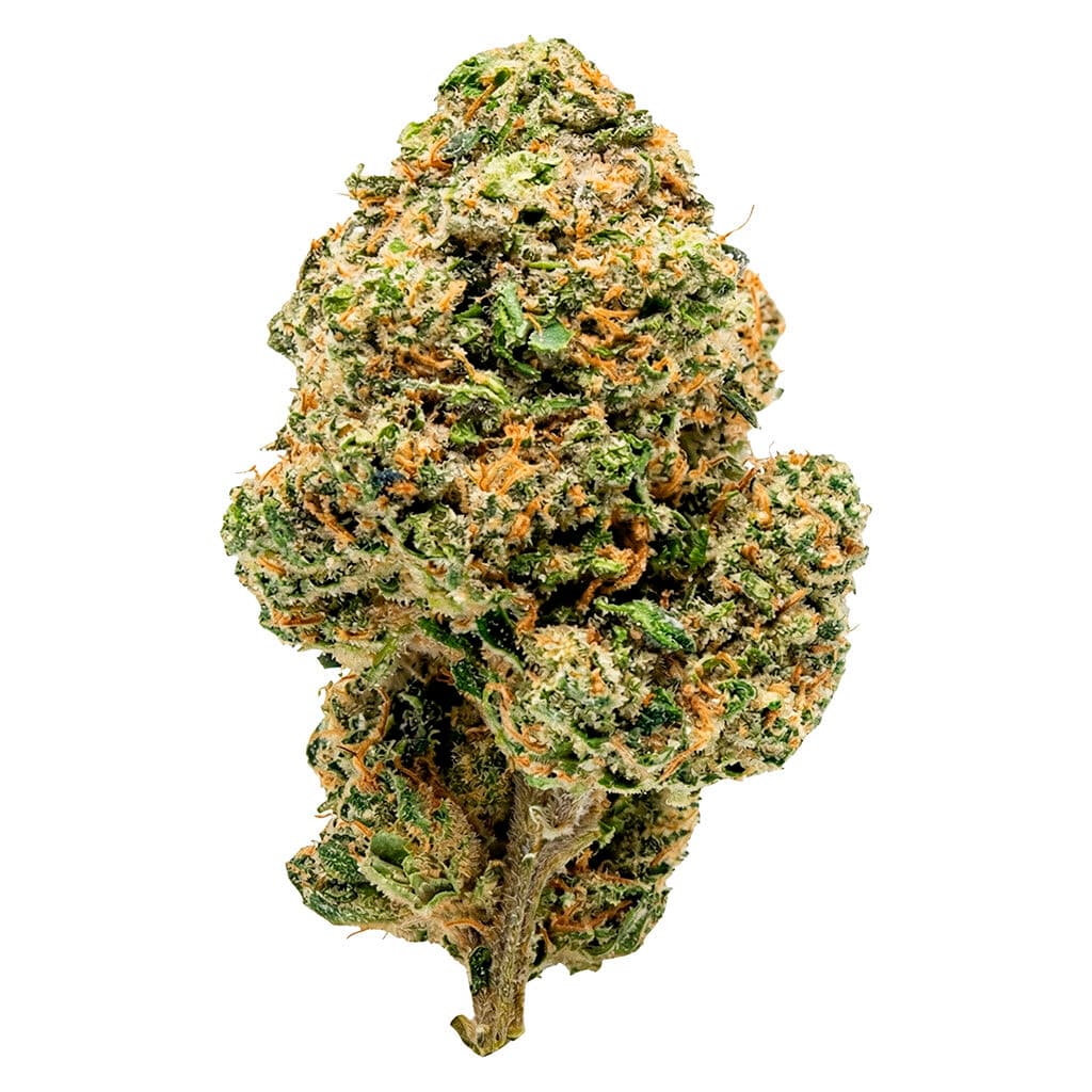 OVERTIME Clock In - Sativa