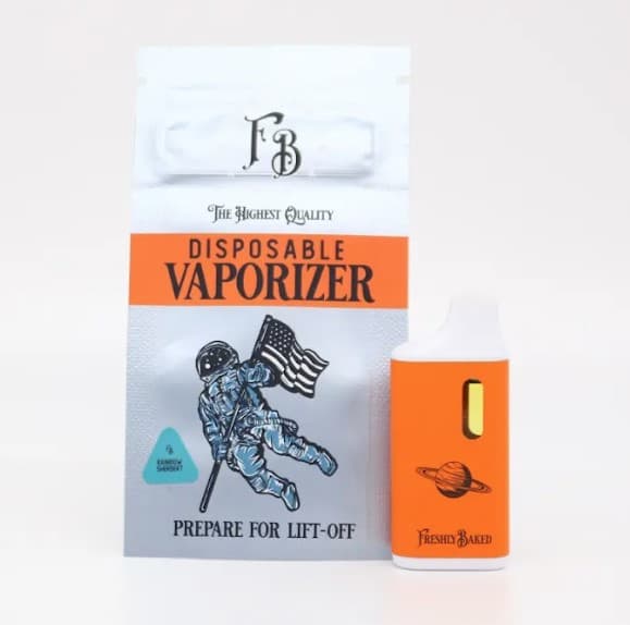 Freshly Baked Company RAINBOW SHERBERT DISPOSABLE (H)