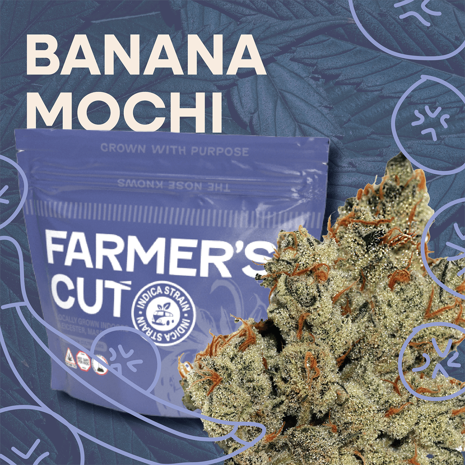 Farmer's Cut BANANA MOCHI 3.5G