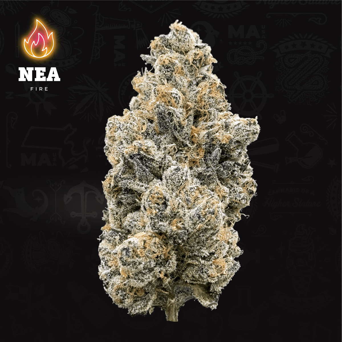 NEA Fire Bufo Smalls (IH)