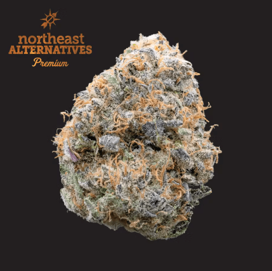 NEA Premium Sherbert Honey