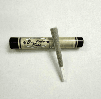 Blue Collar Buds Pre-Roll - D.O.G. Head
