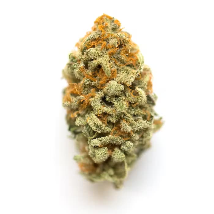 Deli Flower - Great Tier