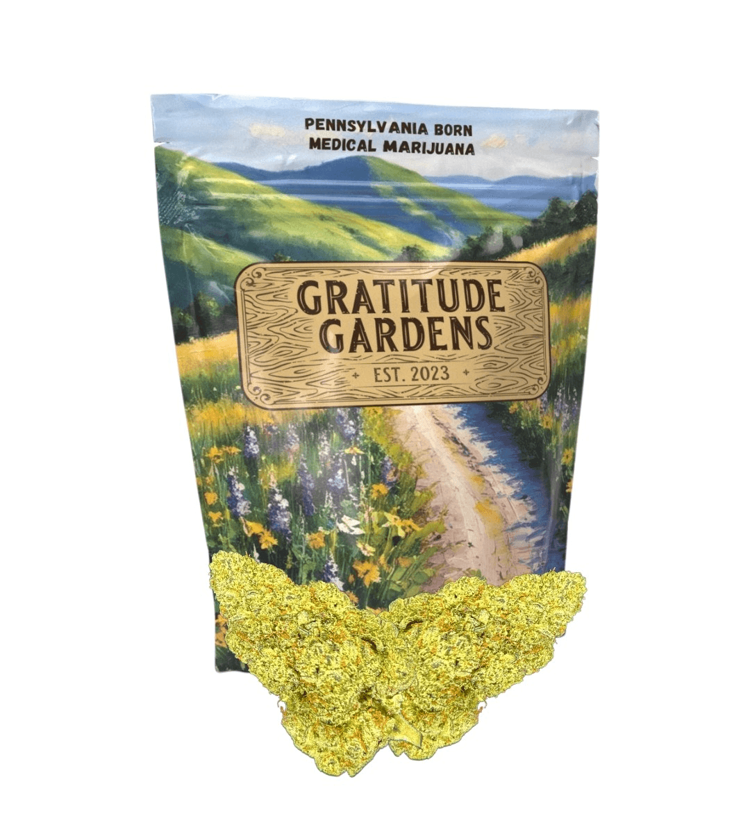 Gratitude Gardens Too Cool
