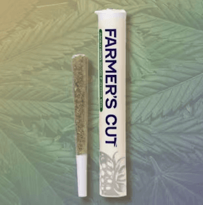 Farmer's Cut Glazed Apricot Lime - Pre-Roll - 1g