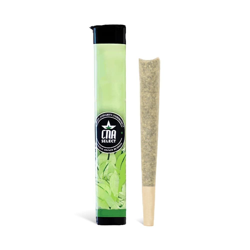 CNA Pre-Roll: Super Silver Haze OG