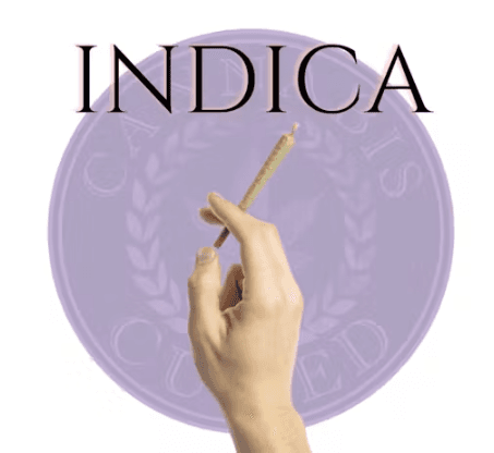 Cannabis Cured Governmint Oasis Pre-Roll