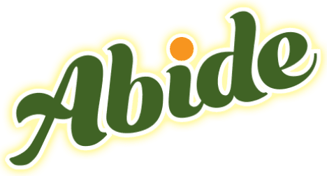 ABIDE INC.