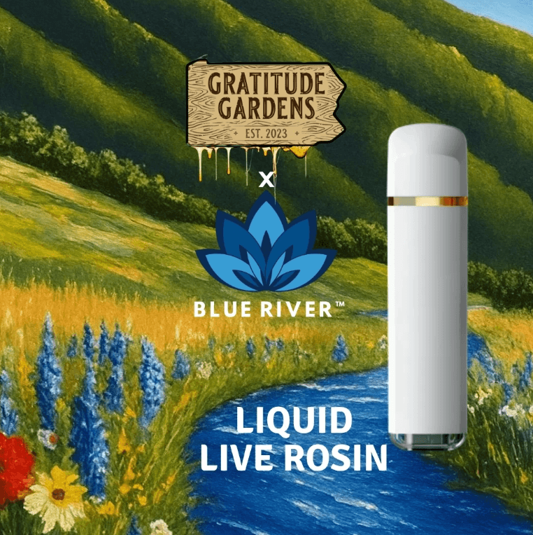 Gratitude Gardens Dantes Inferno Live Rosin AIO | 0.5g