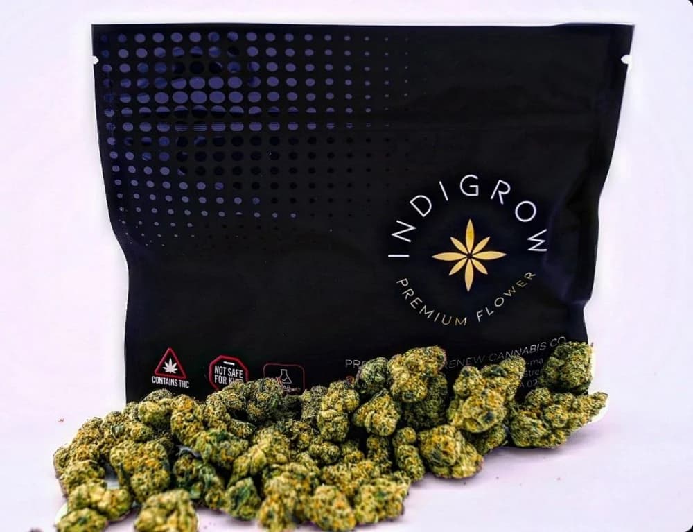 Indigrow Guava Ice