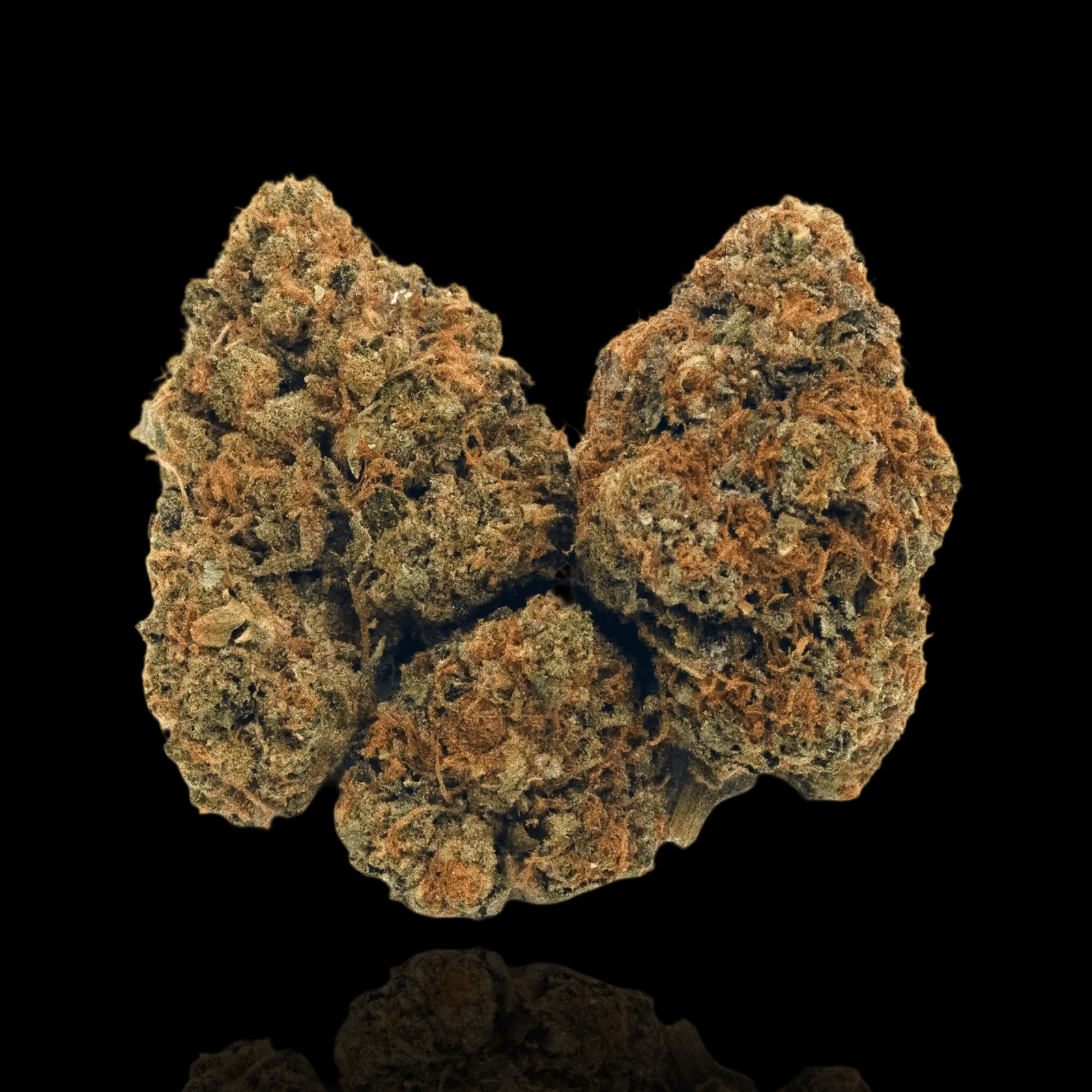 Allstar Herb Hocus Smokus