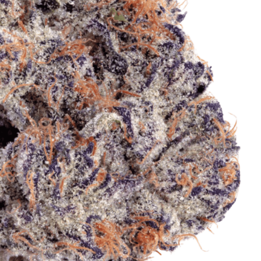 Native Sun Ice Cream Cake | Flower | 3.5g