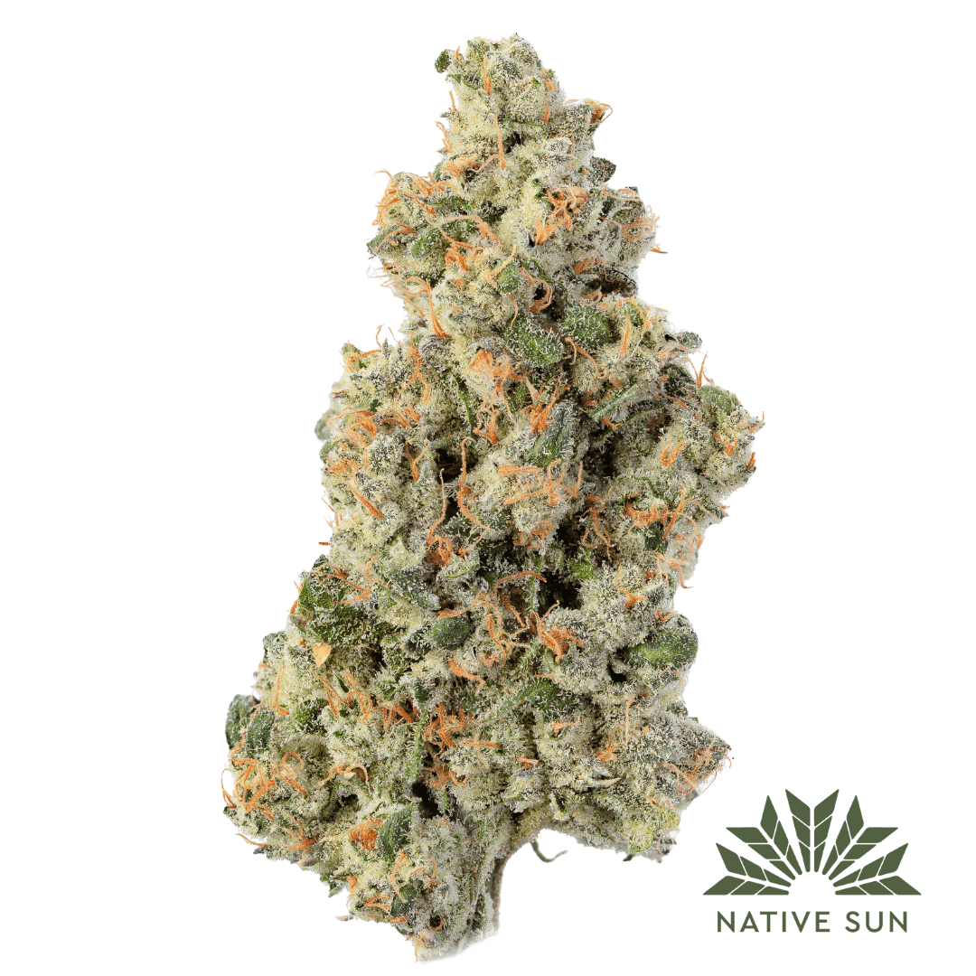 Native Sun Sleezy Rider | Flower | 3.5g