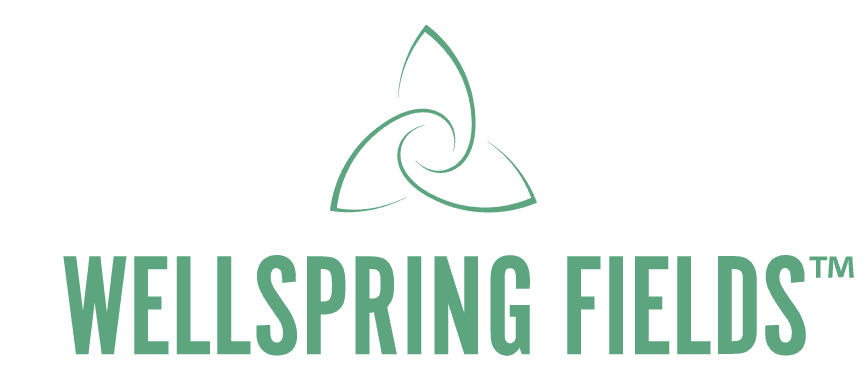 Dr. Feel Better's Wellspring Fields Lemonade Elixir