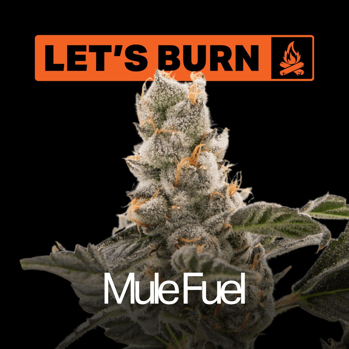 Let's Burn Mule Fuel 3.5g 0083 *WARNING - HIGH THC*