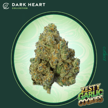 Dark Heart