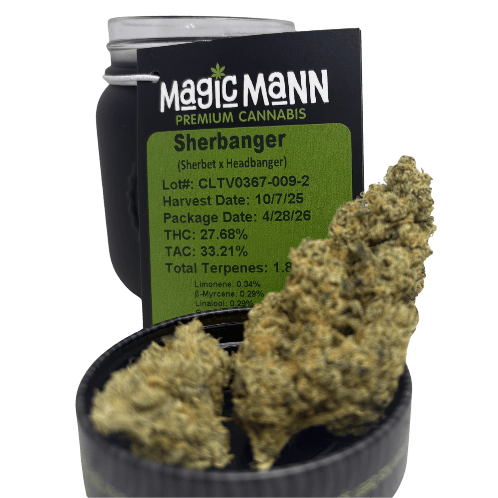 Magic Mann Sherbanger Jar | Magic Mann