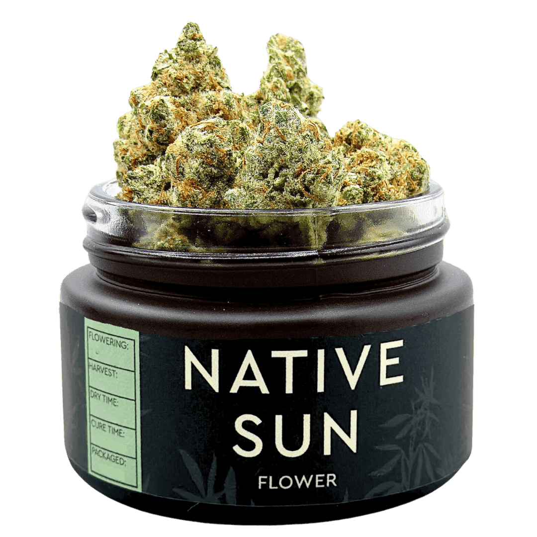 Native Sun Flower