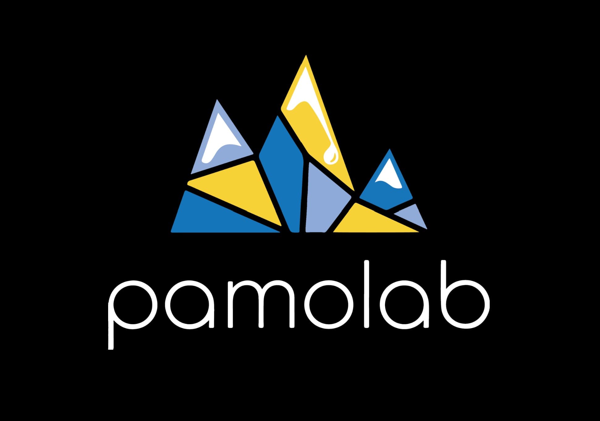 Pamolab PL Cured Resin Vape - 1 g - Mule Fuel Disposable